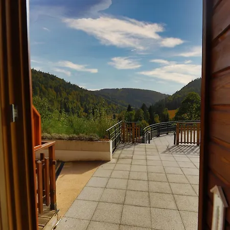 La Ligne Bleue Des Vosges - Appt Proche Des Pistes La Bresse