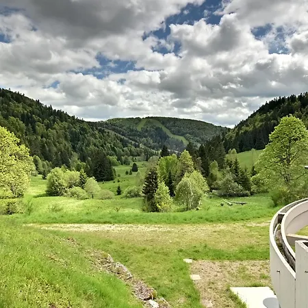 Apartament La Ligne Bleue Des Vosges - Appt Proche Des Pistes