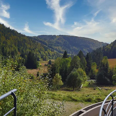 Apartament La Ligne Bleue Des Vosges - Appt Proche Des Pistes La Bresse