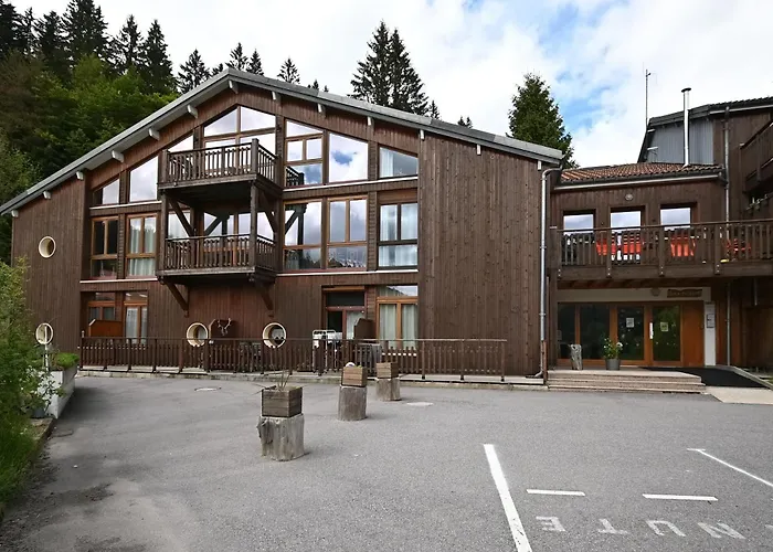 La Ligne Bleue Des Vosges - Appt Proche Des Pistes Apartmán