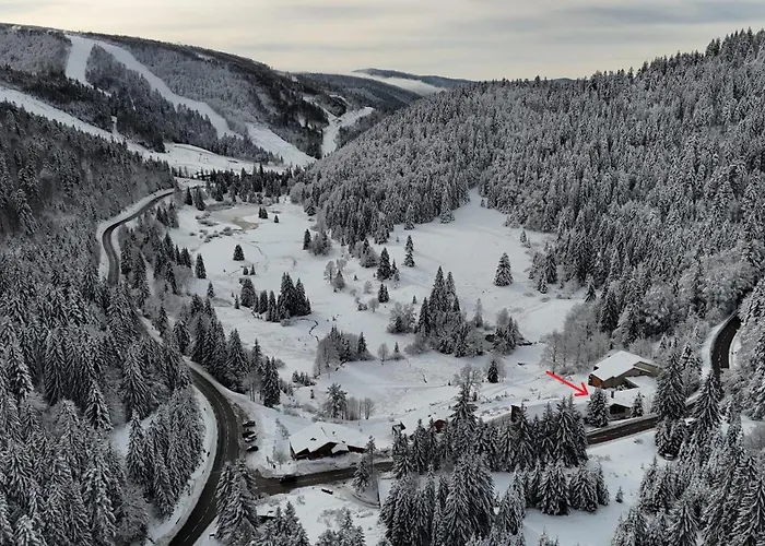 La Ligne Bleue Des Vosges - Appt Proche Des Pistes Apartmán *
