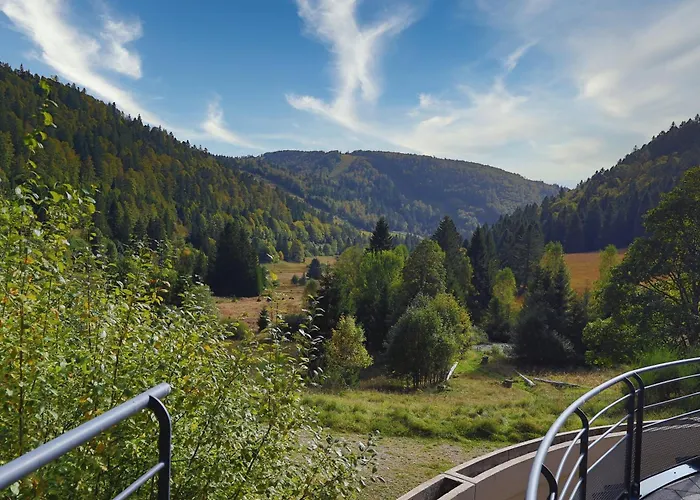 Apartmán La Ligne Bleue Des Vosges - Appt Proche Des Pistes La Bresse